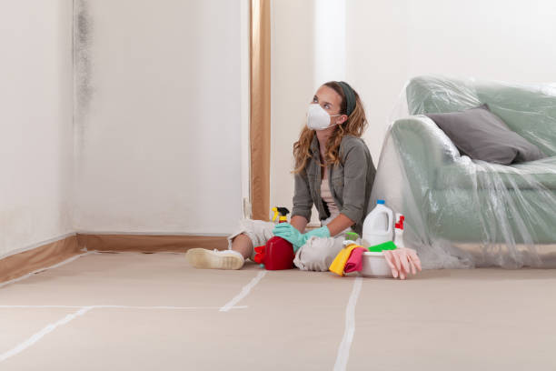 Reliable Mold Removal contractor in Parlin, NJ by WQB Mold Removal
